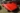 Today in the Classic Car Corral is the Corvett Legend of Texas and North Texas Camaro Club! Stop by to look at some awesome cars! #TXAS #tXautoshow #BigTex @CBS11